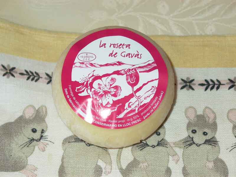 Ecomuseu de les Valls d'Àneu (La Roseta de Gavàs)